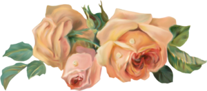 0_19dc6c_3c9d0bb4_M (300x133, 59Kb)
