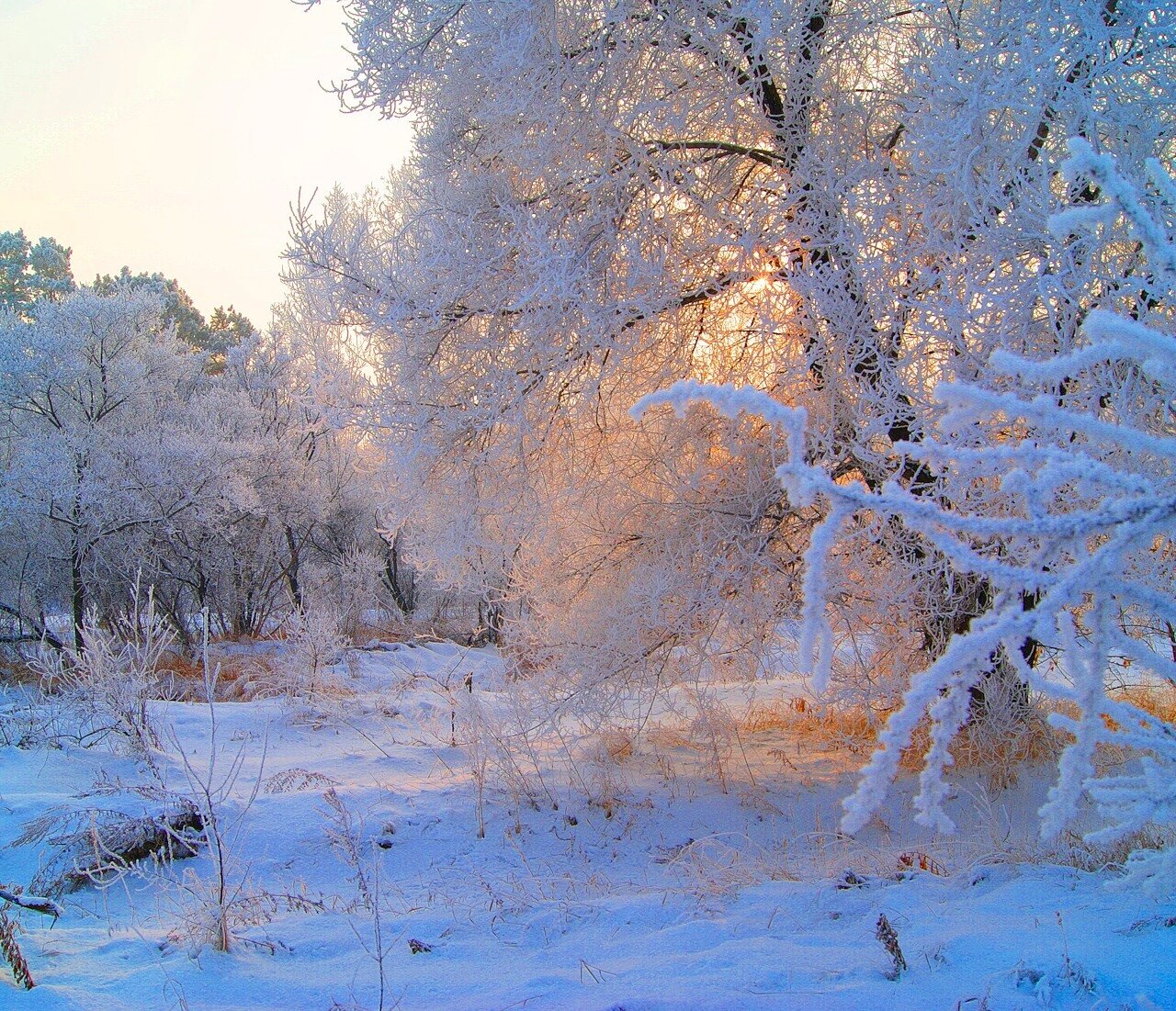 Впр на склоне зимы веселее становится февральский. Зимний пейзаж. Русский лес зимой. Пушистый снег. Красота русской зимы.